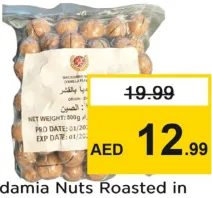 Macadamia Nuts Roasted in Shell
