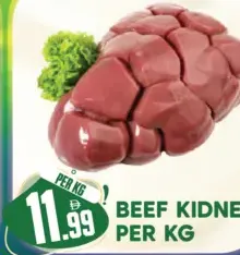 Beef Kidney