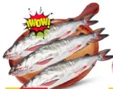 Cat Fish