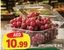 عنب أحمر بدون بذور الحجم
