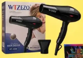 Wtzezo Hair Dryer WT-2000