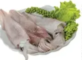 حبار