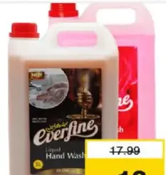 Everfine Hand Wash Assorted