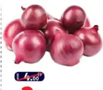 Onion