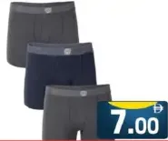 Jannat Men's Trunk