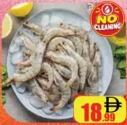 Shrimp Fish Big