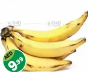 Banana Indian