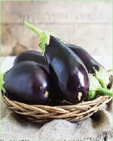 باذنجان كبير