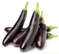 باذنجان طويل