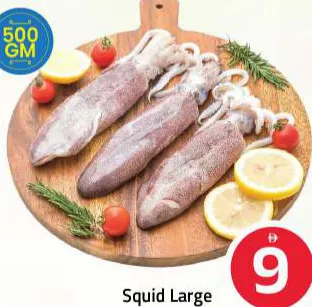 Squid Large