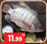 Fresh Tilapia