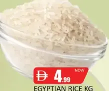 أرز مصري فراعنة