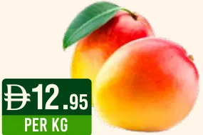 Mango R2E2/KEIT