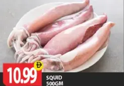Squid