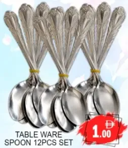 Table Ware Spoon