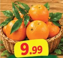 Sandra orange big