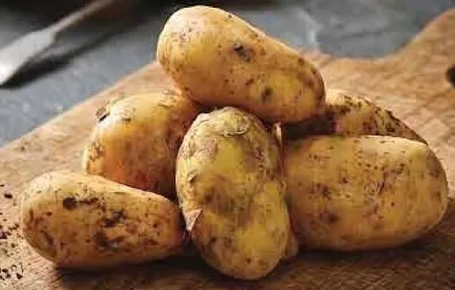 بطاطا سوريه