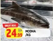 Modha