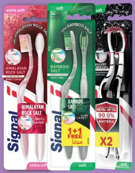 Signal Tooth Brush Gum Care Assorted