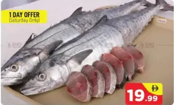 King Fish