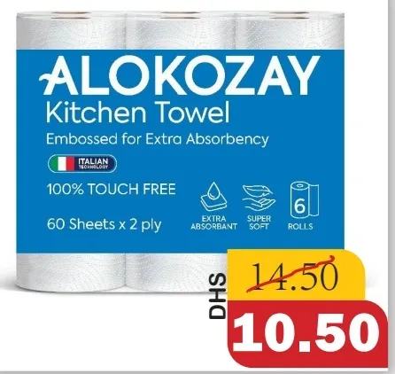 Alokozay Multipurpose Towel 2Ply
