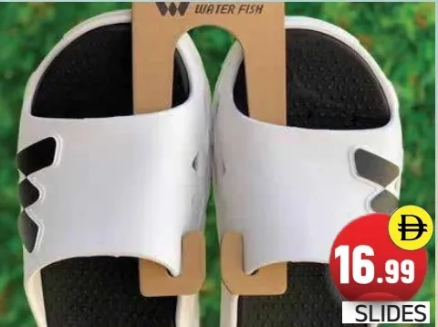Slides