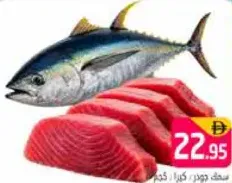 Joder Fish / Kera