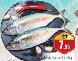 Mackerel