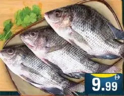 Thilapia Fresh Fish
