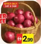 Onion Egypt