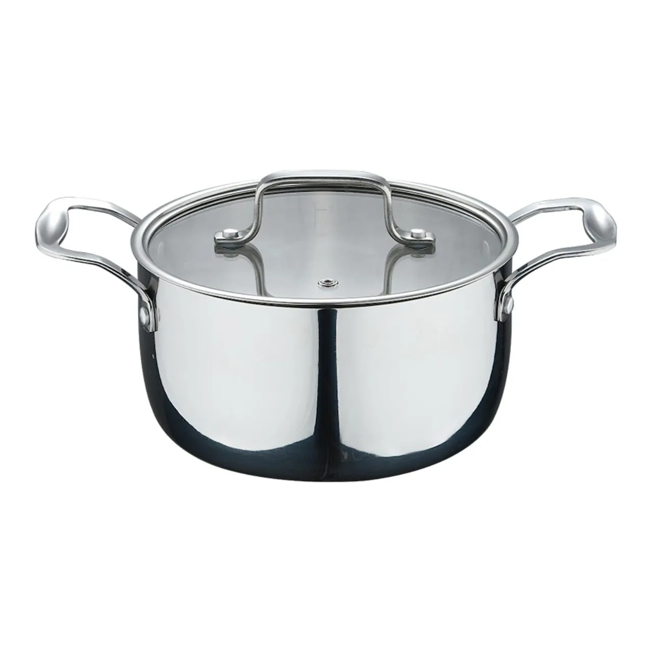 Bergner طنجرة ستانلس ستيل ثلاثي الطبقات مع غطاء Glamour مقاس 24 cm، BG31833MM