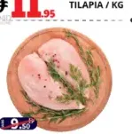 Tender Chicken Breast