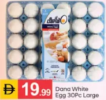 Dana بيض أبيض كبير