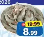 Shrimps Fresh