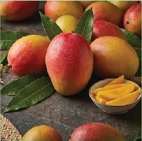 Mango Egypt