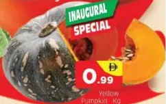 Pumpkin Yellow