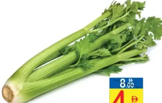Celery