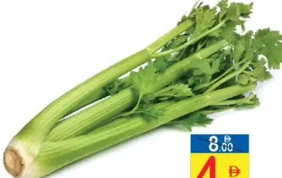 Celery