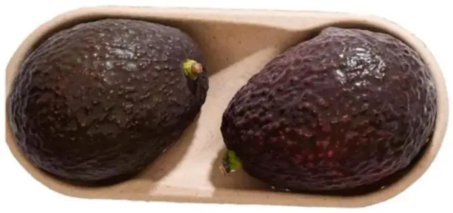Avocado Hass RTE