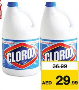 Clorox كلوركس العادي