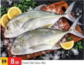 Fresh Fish Faru