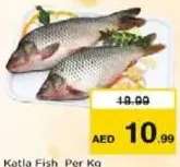 سمك كتلا