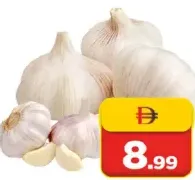 Garlic China