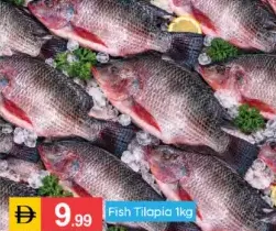 Fish-Tilapia