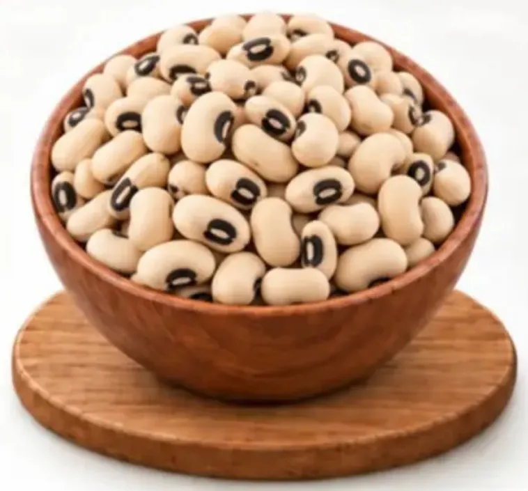 لوبيا