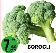 بروكلي BOROCLI