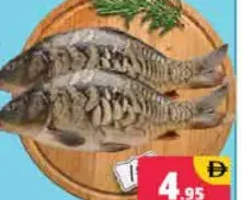 Mabrook Fish