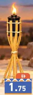 مشاعل الخيزران