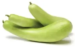 Green/White Long Pumpkin