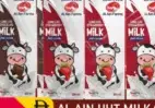 Al Ain Uht Milk Milk / Strawberry / Chocolate